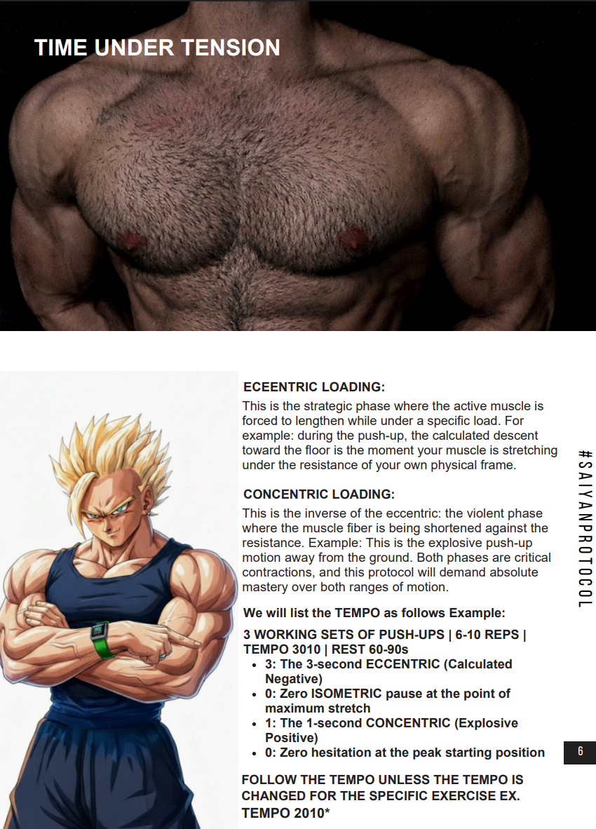 The Saiyan Protocol - 40 Day Transformation