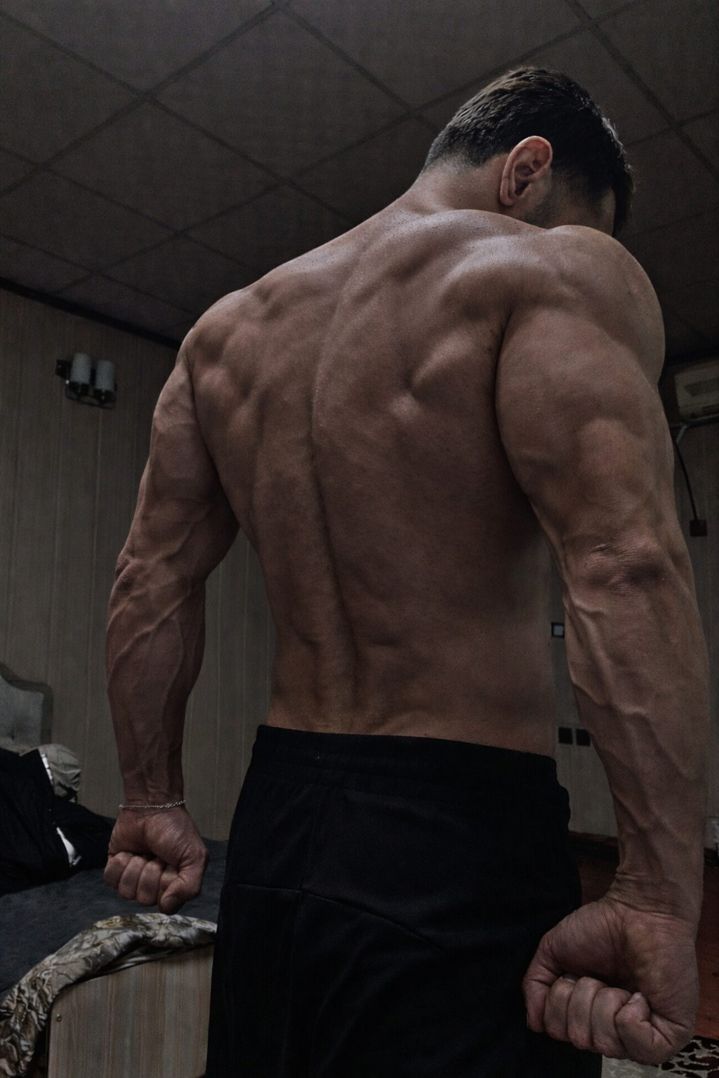 The Saiyan Protocol - 40 Day Transformation