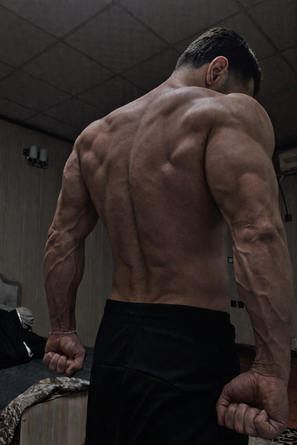 The Saiyan Protocol - 40 Day Transformation